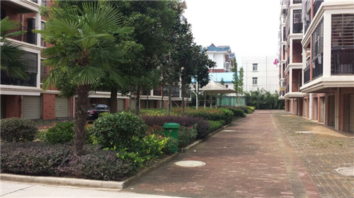 公共景观