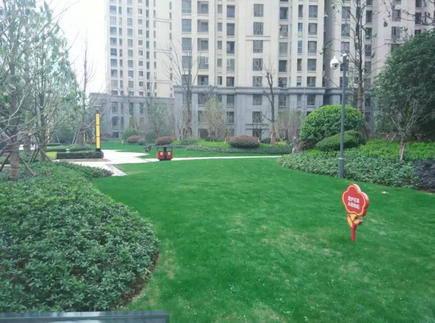 绿化养护