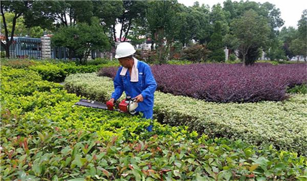 孝感绿化公司